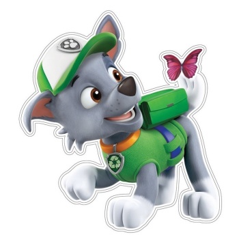 WALL DECORATION PAW PATROL ROCKY 