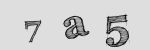 CAPTCHA Image