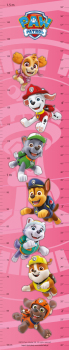 ROOM DECORATION MEASURING CHART PAW PATR 