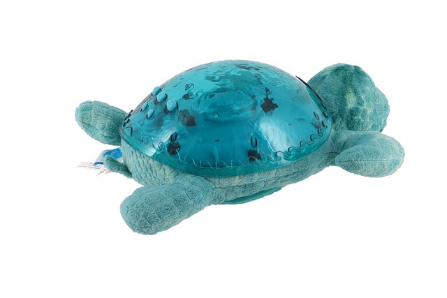 TRANQUIL TURTLE