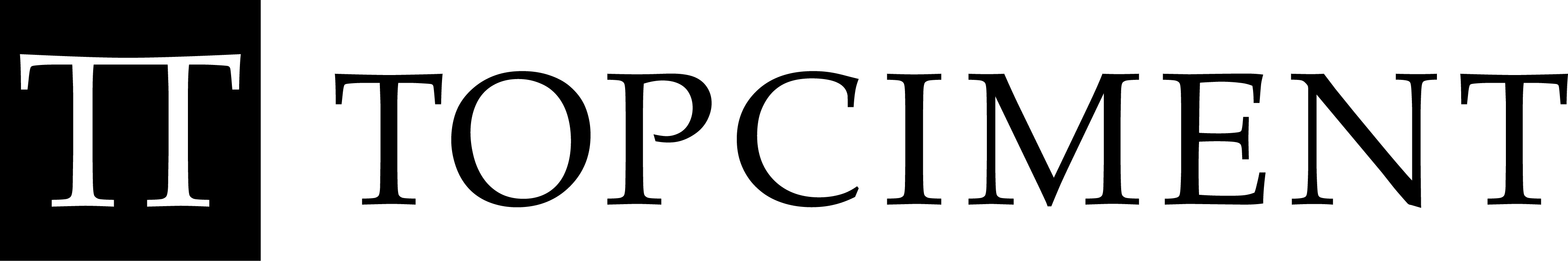 logo_topciment.jpg