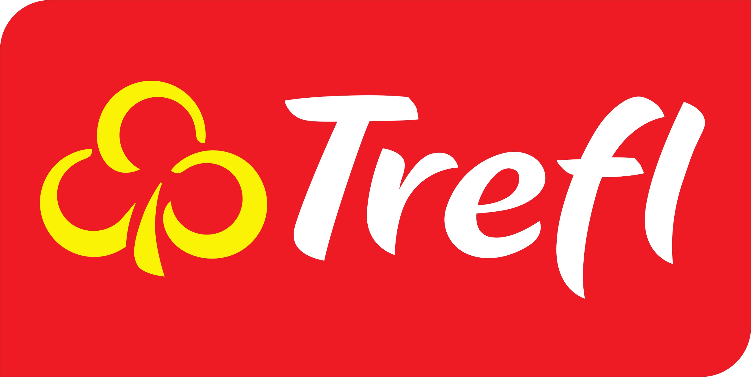 Trefl dekoracje