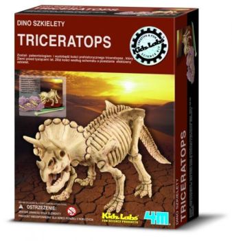 Wykopaliska - duży Triceratops