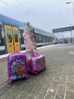Jeżdżąca walizka podróżna Psi Patrol - różowa mała
