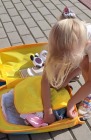 Walizka podróżna na kółkach Psi Patrol - żółta duża