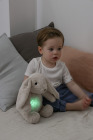 Szumiący królik z czujnikiem ruchu i pozytywką - Cloud b® LoveLight Buddies Billy Bunny™