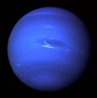 Pluszowa planeta - Neptun