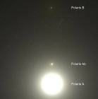 Pluszowa Gwiazda Polarna