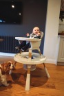 Oyster Home Highchair Krzesełko do karmienia 4w1 - Moon, szare