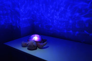 Projektor z pozytywką - Żółw podwodny różowy ECO - Cloud b® Tranquil Turtle™