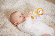 TINY SMARTS LEONARDO TEETHER RATTLE 2