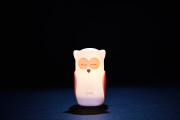 SOLO OWL LED NIGHT INDUCTION - WHITE 9