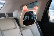 OLY CAR MIRROR BEIGE 3