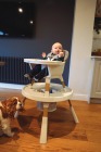 OYSTER HOME HIGHCHAIR 4 IN 1 MOON 5