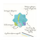 Puzzle sensoryczne Flexihetti - Gwiazda - Mind&Move 4