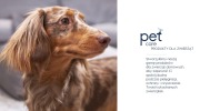 PET EAR CARE REFILL2,5 L 2
