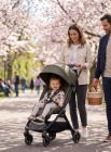 Wózek spacerowy Bumprider Connect mini - zielony 7